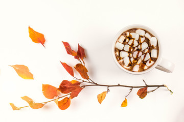 A cup of hot cocoa with marshmallows. The air marshmallow is filled with sweet chocolate sauce. A...