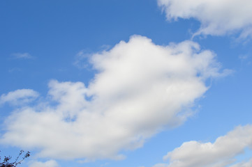 Obraz premium Puffy Clouds