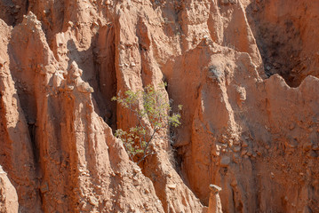 The Stob Earth Pyramids in the foothills of the Rila Mountains in Bulgaria