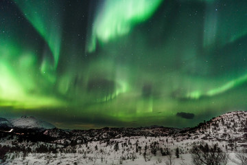 Aurora over Tverlandetmarka