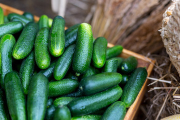 Basket of cucumbers at the farmers market