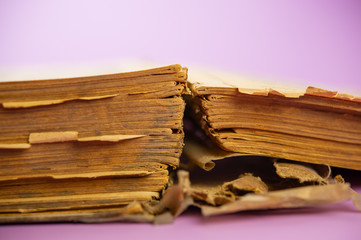 pages of an old book on a lilac background.