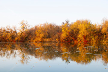 sunny autumn day with yellow trees. Lake with trees. Place under the text. Autumn forest at headquarters, lake, river.