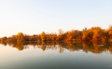 sunny autumn day with yellow trees. Lake with trees. Place under the text. Autumn forest at headquarters, lake, river.