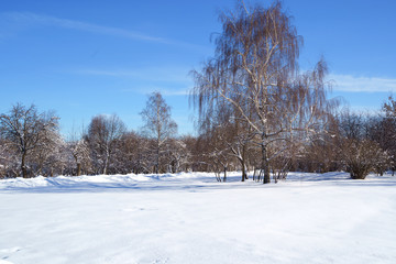 Beautiful winter landscape with snow covered trees