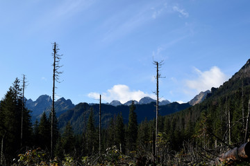 Natural mountain landscape. Territory of Poland. Tatra mountains. Wonderful autumn day.  Blue sky and green fir-trees.