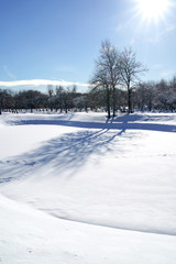 Beautiful winter landscape with snow covered trees