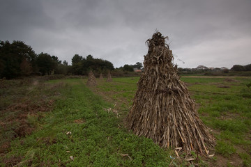 Palleiros