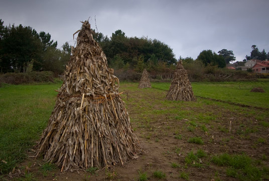 Palleiros