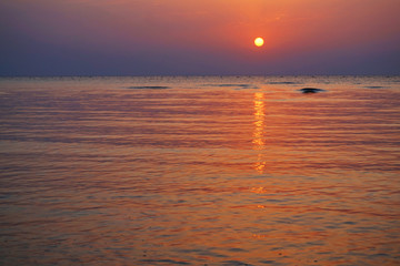 sunset in the egypt