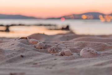 sunset on beach
