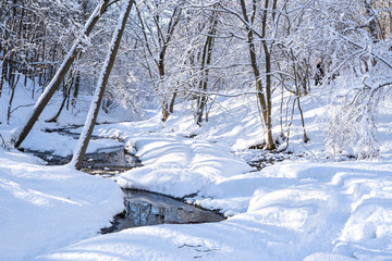 Beautiful winter landscape with snow covered trees