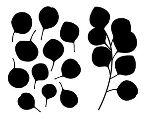 Silver dollar eucalyptus leaf. Eucalyptus branch silhouette. Eucalyptus leaf silhouettes isolated on white background. Vector illustration.