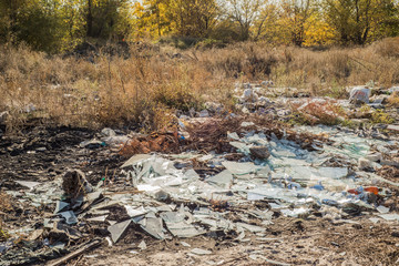 the forest is polluted by waste. Plastic waste in nature. Environmental pollution