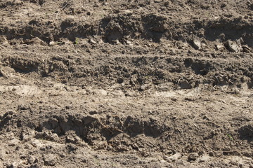 Earth (soil) texture, background