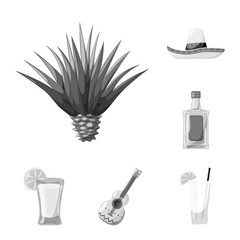 Vector illustration of fajita and fiesta symbol. Collection of fajita and celebration stock vector illustration.