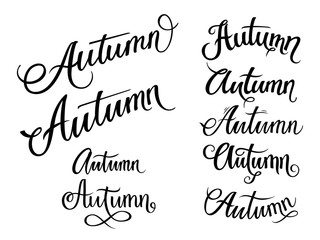 Set of handdrawn lettering Autumn on the white background. Seasonal handwritten design element for poster, card. Vector illustration.