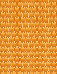 Honeycomb honeycombs as a geometric Background. Vector.