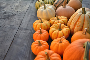 Collection of little pumpkins on wooden background.