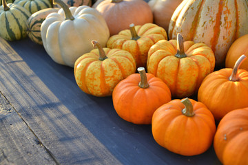 Little colorful pumpkins on wooden background.
