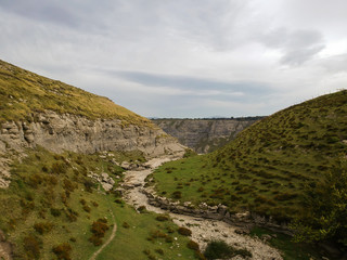 Cauce seco de rio con vegetation a los lados
