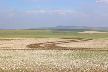 tracks over green fields