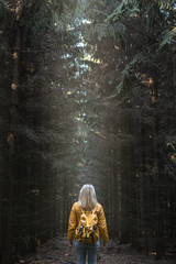 Woman tourist standing in dark forest with courage, sunbeam on hiker in mystery woodland