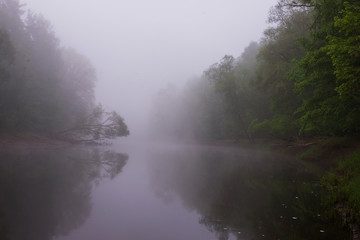 Fototapeta na wymiar foggy morning in the countryside