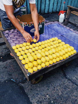 Man arranging lemons in order