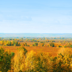 Autumn sunny day, beautiful landscape, pasture, aerial view, horizon