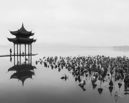 Landscape of pagoda in water
