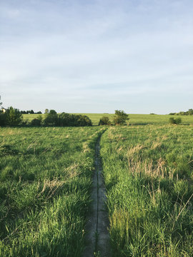 Pathway through grass field