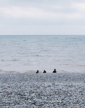 Back view of men sitting at beach, budleigh devon