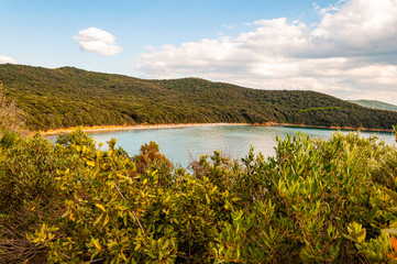 Scenic landscape view on Cala Violina beach and Tyrrhenian Sea bay surrounded by green forest in...