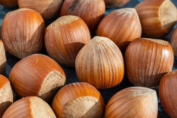 Macro close-up of a group of hazelnuts illuminated horizontally