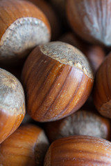 Macro close-up of whole hazelnuts in vertical