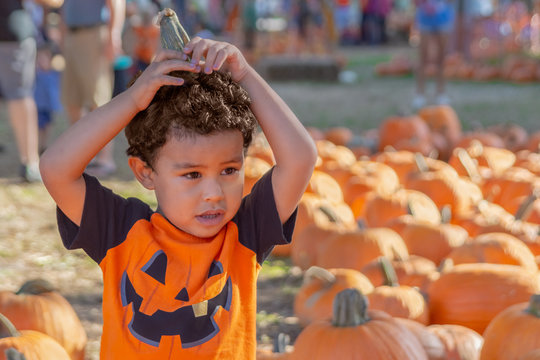 A small boy holds the pumpkin stump on his head to look more like a pumpkin. Visiting at the local church pumpkin patch blending in with the pumpkins.