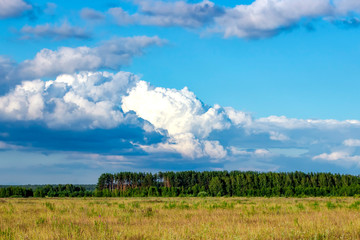 Beautiful clouds over the Russian field. Summer landscape.
