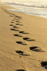 footprints in the sand