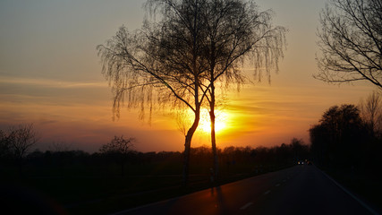 Sonnenuntergang hinter B&auml;umen