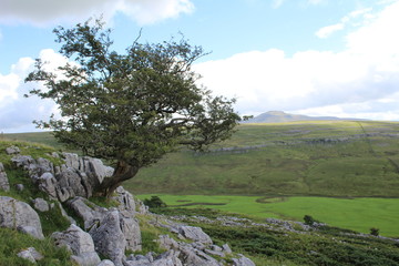 landscape with river and blue sky