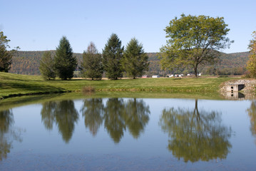 Fototapeta na wymiar Arboles reflejados en estanque