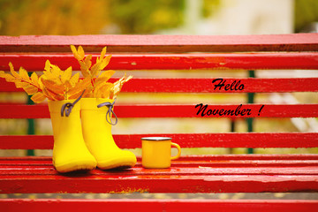 hello november yellow rubber boots and autumn leaves - Powered by Adobe