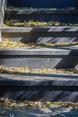 Steps and fallen autumn leaves on them.