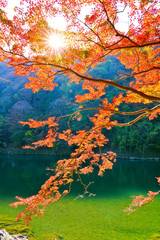 View of the colorful trees in autumn at Mount Arashi in Kyoto, Japan.