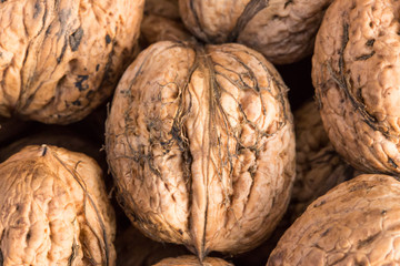Walnut background, scattered pile of walnuts. Walnuts of Juglans regia.