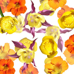 Beautiful floral background of aquilegia, nasturtium and water lilies. Isolated