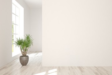 Empty room in white color. Scandinavian interior design. 3D illustration