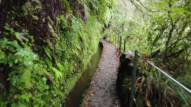 First person view of "Caldeirao Verde" footpath in Santana, Madeira island, Portugal