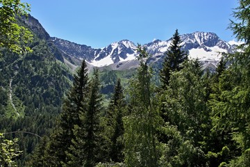 Italy-view from the path from Passo del Tonale